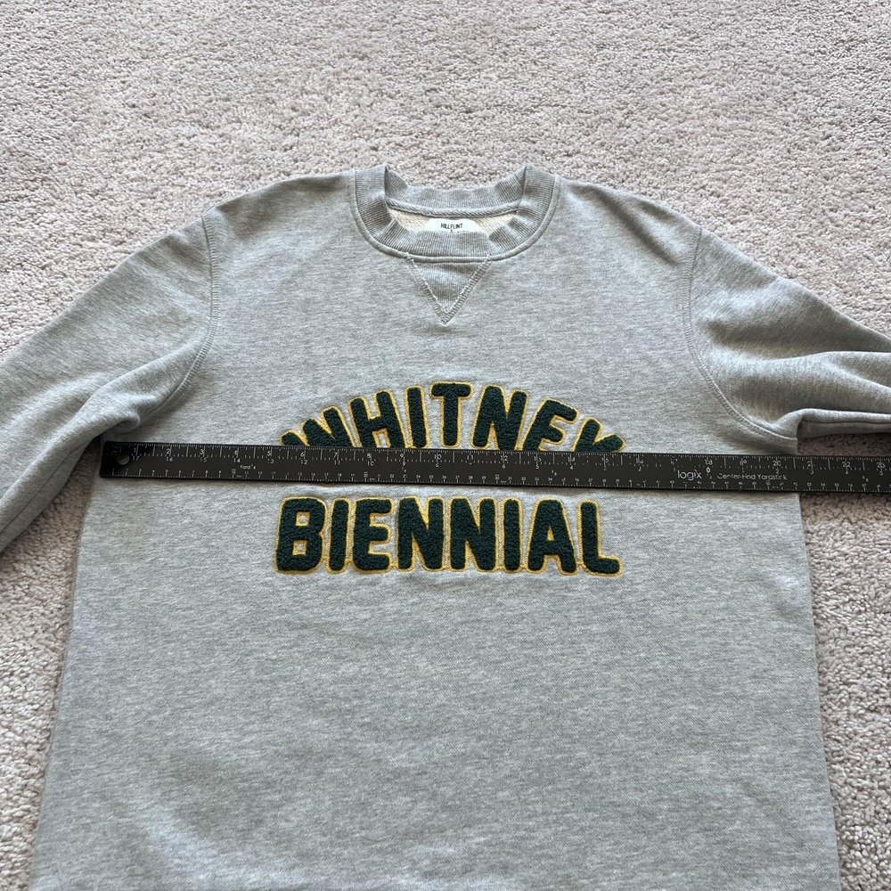 Hillflint X Whitney Shop Whitney Biennial Sweatshirt Mens Small Gray Graphic - Picture 10 of 15